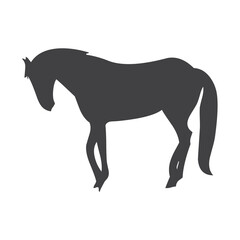 Horse icon
