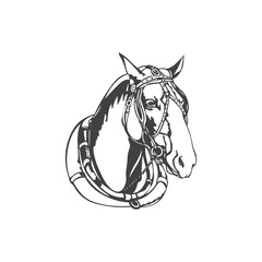 Horse icon