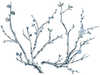 Chinoiserie birds and plants. Traditional asian eastern art with leaves Botanical elements. meadow flowers peony sakura and berries