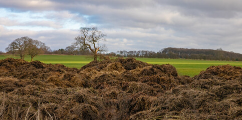 manure in the field
