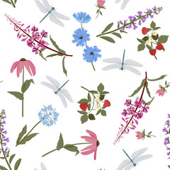 Meadow flowers and dragonflies on a white seamless background.