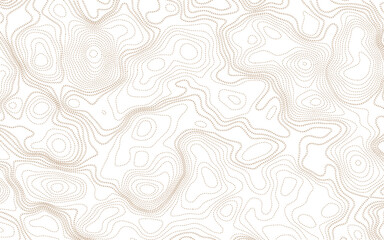 Topographic contour map. Vector cartography illustration. Topography and geography map grid abstract backdrop. Business concept