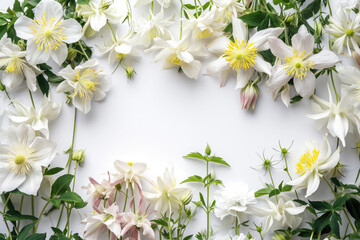 White Background With Columbines: Spacious Frame