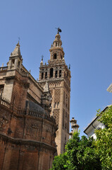 Sevilla, la Giralda wieża - obrazy, fototapety, plakaty