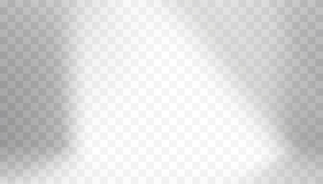 Abstract window shadow with light effect Overlay,Leaves Shadow silhouette,Element object for Spring Summer,Overlay on Mockup Product Presentation