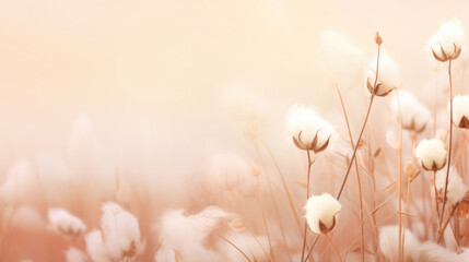 Beautiful meadow with wild grass and cotton flower soft peach fuzz background  - obrazy, fototapety, plakaty