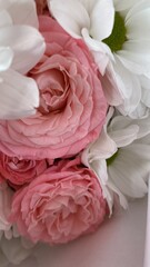 pink roses