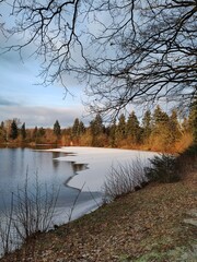 Schnee am Waldteich