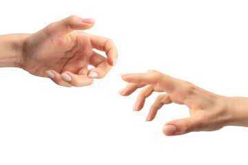 Woman hand isolated on a white background.