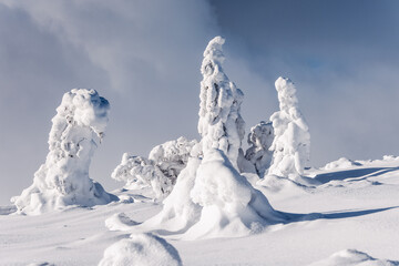 A beautiful winter in the Karkonosze Mountains, heavy snowfall created an amazing climate in the...