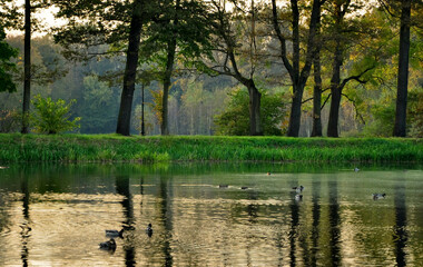 Jesień w Polsce. Las, park, jezioro. Drzewa pokryte kolorowymi liśćmi.