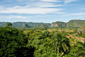 Plantacja tytoniu, Kuba, widok, tropikalna roślinność, wzgórza