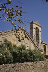 Fototapeta na wymiar Serbia i Czarnogóra, stary kościół i drzewko oliwne