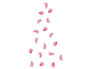ピンクの桜のイラスト　桜の花びらのイラスト