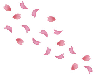 ピンクの桜のイラスト　桜の花びらのイラスト - obrazy, fototapety, plakaty