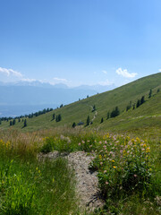 Fototapeta premium Bergwanderweg in Kärnten mit Alpenblick im Sommer 