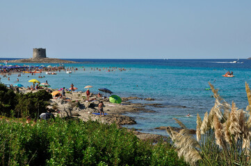 Plaża na Sardynii, Włochy, Morze Śródziemne - obrazy, fototapety, plakaty
