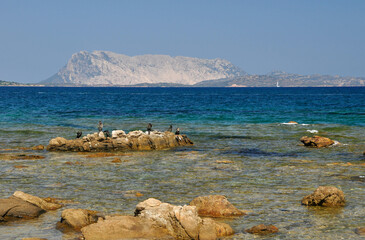 Plaża na Sardynii, Włochy, Morze Śródziemne