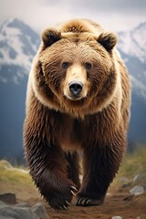 Obraz premium a bear walking on top of a mountain with a cloudy sky above