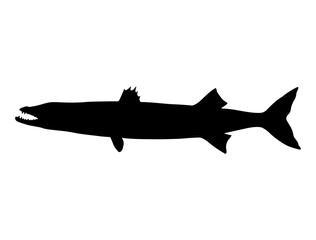 Barracuda Fish silhouette vector art white background