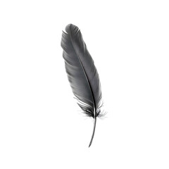 Floating feather and ink quill isolated on white background, png
