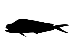 Mahi Mahi Fish silhouette vector art white background