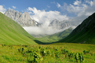 Góry Kaukaz Gruzja - obrazy, fototapety, plakaty