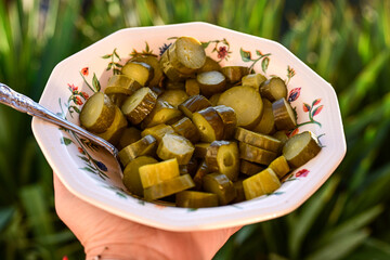  Plate of  homemade  organic bio pickled cucumbers  in vinegar with dill ,garlic and mustard seeds...