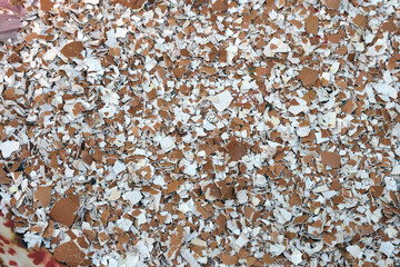 close up of a lot of seed