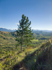 Caminata al Cerro el Peñon del Común Panama