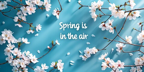 ?herry blossom branches and text spring is in the air on blue background, top view