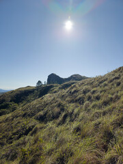 Caminata al Cerro el Peñon del Común Panama