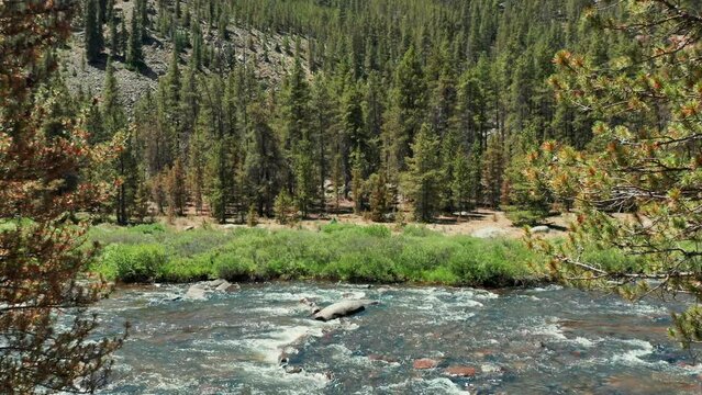 4K Drone Footage Rocky Mountain River Nature