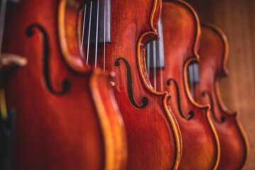 Row of violins arranged neatly on a stand in a room.