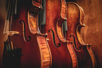 Row of violins arranged neatly on a stand in a room.