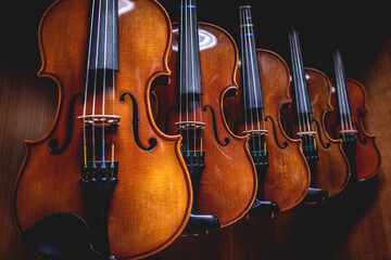 Fototapeta na wymiar Row of violins arranged neatly on a stand in a room.