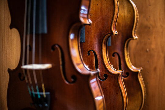 Row of violins arranged neatly on a stand in a room.