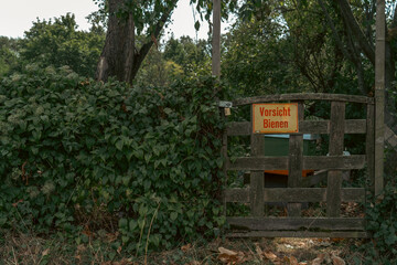 entrance to a meadow in a forest