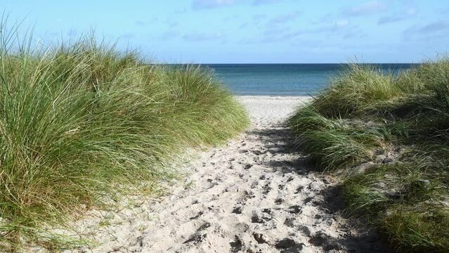 Strandzugang an der Ostseek&uuml;ste, Insel R&uuml;gen, Deutschland