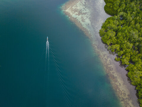 Mangrove Forest ini Hanunu Village in West Seram Regency, Maluku, Indonesia