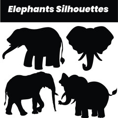 silhouette of an elephant