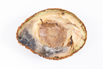 Old moldy avocado. Unhealthy and disgusting fruit