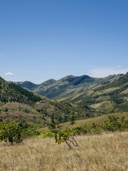 Caminata al Cerro el Peñon del Común Panama
