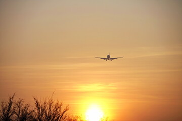 The plane flies in the sky during sunset.