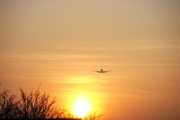 The plane flies in the sky during sunset.