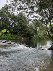 Obraz na płótnie Canvas river in the park