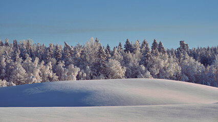 Winter time in the cultural landscape of Toten, Norway, in January. Image shot in the area between Kolbu Church and Gardlausstua.
