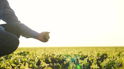 farmer holding soil hand, looks field where agriculture growing. Here working harvest will feed...