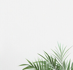 Fototapeta premium Green plant on the white background. Minimal design with copy space. Natural Template for presentation or product. Nature wallpaper. Minimalist concept. Beautiful Nature Flyer.
