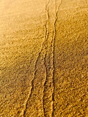 golden sand background